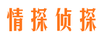 讷河市侦探